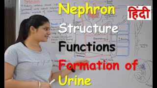 Glomerular Filtration شرح بالعربي [upl. by Florella201]