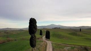 Terrapille  I cipressi del Gladiatore  Drone Video [upl. by Ater]