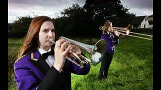 TOM MARCHES ON Clive Richardson Brighouse and Rastrick Brass Band [upl. by Annerb]