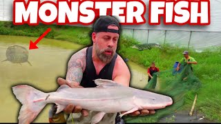 WE got ACCESS to a SECRET MONSTER FISH BREEDING Farm RARE FOOTAGE [upl. by Vernon207]