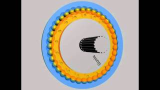 Gonic Cycloidal Drive [upl. by Mis]