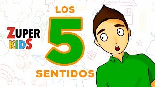 LOS 5 SENTIDOS  para todos [upl. by Elwaine]