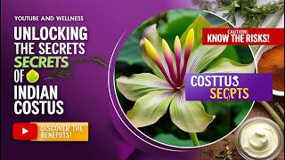 Unlocking the Secrets of Indian Costus Health Benefits amp Risks Explained [upl. by Rockwell933]