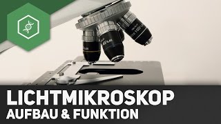 Das Lichtmikroskop – Aufbau und Funktion [upl. by Agler]