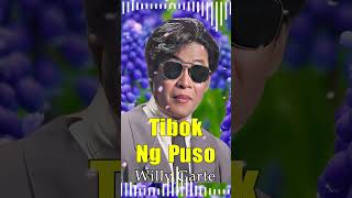 TIBOK NG PUSO  WILLY GARTE  TAGALOG LOVE SONGS 2024 ALL THE TIME [upl. by Marguerie94]