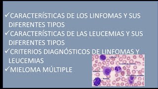 TRASTORNOS DE LOS LEUCOCITOS  LINFOMAS  LEUCEMIAS  MIELOMA MÚLTIPLE  ANATOMÍA PATOLÓGICA [upl. by Kruse]