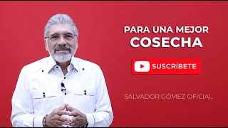 PENTECOSTES  PARA UNA MEJOR COSECHA  SALVADOR GÓMEZ Predicador católico [upl. by Ardnasela]