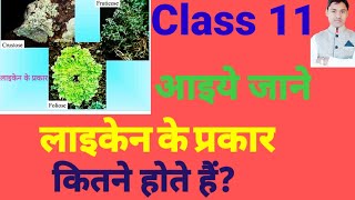 types of lichen class 11 in hindi लाइकेन के प्रकार vedio 79 [upl. by Melisandra]