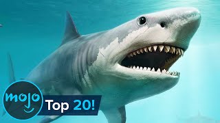 Top 20 Extinct Animals [upl. by Nod]