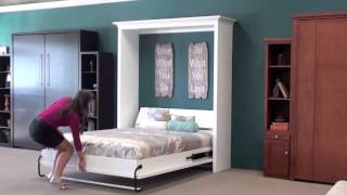 Wall Beds Murphy Wall Beds San Diego 1 [upl. by Phenice285]