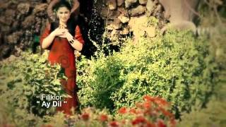 Narina kurdi Koktel New Clip 2012 [upl. by Anyahs]