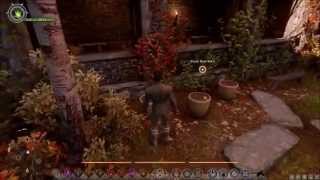 Dragon Age Inquisition  Skyhold  Minor Business and Upgrades [upl. by Aleyak36]