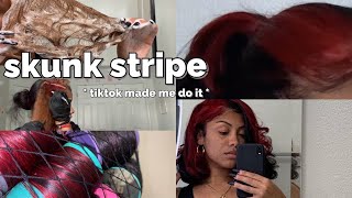 doing a skunk stripe at home using box dye  sorry tae   tiktok made me do it [upl. by Gittle511]