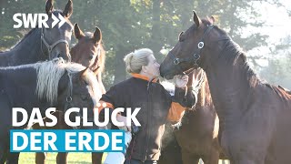 Pferd und Mensch – ein super Team 5 Mal Vertrauen Freundschaft große Liebe  SWR Treffpunkt [upl. by Nrubyar321]