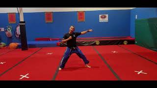 Fight Science  Bren Foster Taekwondo speed [upl. by Rekcut903]