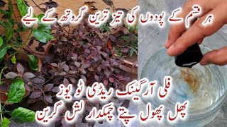 100 Organic Liquid Fertilizer for Plant Growth  Phal Phool aur Pattay Chamakdaar amp Healthy [upl. by Rick]