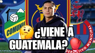 ¿ROJOS Y CREMAS SE PELEAN POR RUBIO RUBIN  ¿VENDRA LA LIGA NACIONAL [upl. by Tommi193]