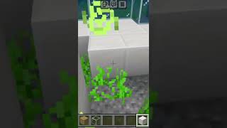 Minecraft starter underwater base tutorial short videosubscribe like minecraft building [upl. by Aziram]