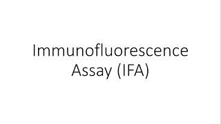 Immunofluorescence Assay IFA  Immunology [upl. by Marlyn]