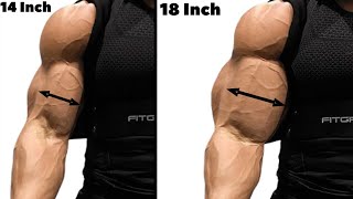 8 Greatest Bicep Exercises to Build Wider Biceps [upl. by Alyhc]