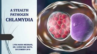 Chlamydia  A Stealth Pathogen [upl. by Freda]