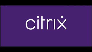 Citrix VDI using Multiple Monitors  Citrix Desktop with Dual Screens  Dual Monitors [upl. by Tak]