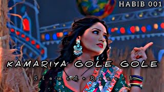 Kamariya Gole Gole Dole Raja Ji ðŸ¥µ SlowedReverb Lofi SongHABIB001 MUSIC ðŸŽ¶ðŸŽ§ðŸ˜ [upl. by Zubkoff755]