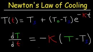 Newtons Law of Cooling Calculus Example Problems Differential Equations [upl. by Aniger]