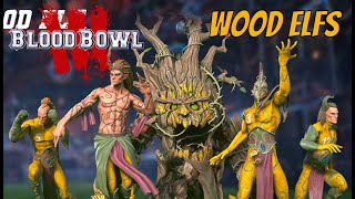 Dominate with Wood Elf Team in Blood Bowl 3 [upl. by Vittoria347]