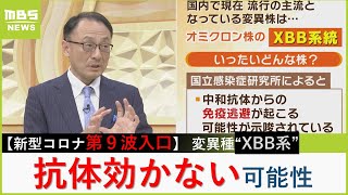 【新型コロナ第９波】 現在流行中の変異株『ＸＢＢ系統』は“免疫逃避”の可能性「ワクチンで獲得した抗体が効かなくなるかも」【MBSニュース解説】（2023年6月19日） [upl. by Aihseym682]