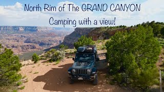 Camping on the north rim area of Kaibab National Forest near Grand Canyon National Park [upl. by Eruot]