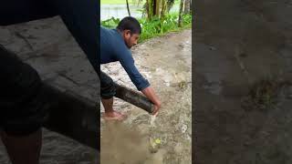 fishing এমন দৃশ্য এখন আর চোখে পড়ে না 🌴🐟 খুব সুন্দর মাছের ভিডিও দিলাম 🐟🐟 [upl. by Chemesh]