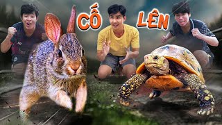 Quang BM  Đón Thêm Bạn Mới Và Cuộc Đua Huyền Thoại 🐇  Tortoise And Hare Race [upl. by Enaud928]