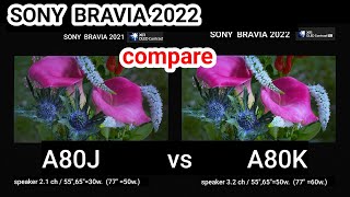 SONY A80K vs A80J compare [upl. by Aubyn]