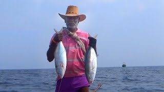 CAUGHT A BLUDGER TREVALLY FISH AT DEEP SEA  JACK FISH [upl. by Eelsnia50]