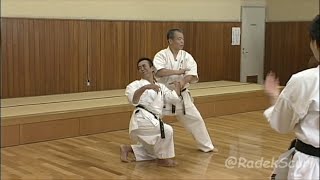 Seienchin  secret techniques English translation Yoshio Kuba Goju ryu Karate [upl. by Eca]