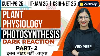 Plant Physiology  Dark Reaction of Photosynthesis  CUET PG  JAMNET P2 VedPrep Biology Academy [upl. by Zannini159]