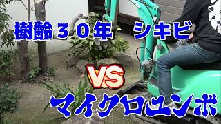 KOMATSU pc01 backhoe Power ミニユンボの力検証 [upl. by Rosane]