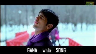 Gana wala Song  the Qtiyatic version [upl. by Beilul]