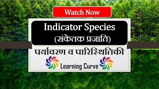 Indicator Species  संकेतक प्रजाति  Ecology Analysis Examples UPSC  Lichens CSIR NET study iq [upl. by Cummine744]