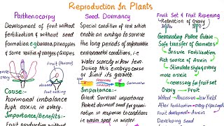 Parthenocarpy  Seed dormancy  Fruit set and fruit ripening  class 12 [upl. by Mamie556]