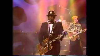 Bo Diddley  Who Do You Love 1987 [upl. by Oiliruam206]