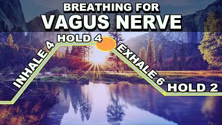 Breathing Exercise for Vagus Nerve Stimulation [upl. by Anada829]