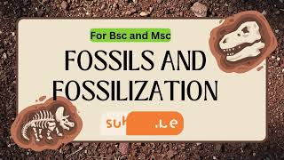 Fossils Types of Fossils and Fossilization in Hindi I with notes bsc3rdyear msc botany zoology [upl. by Arahsat256]