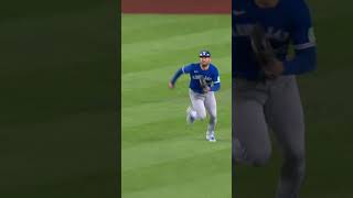 Kevin Kiermaier and his glasses both stick the landing 😂 [upl. by Rocca536]