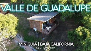 Valle de Guadalupe con Hospedaje Viñedos  ¿Qué Hacer MINIGUÍA [upl. by Enehpets]