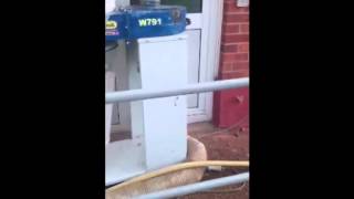 The Process Of Cavity Wall Extraction  Cavitech UK Limited [upl. by Jangro457]