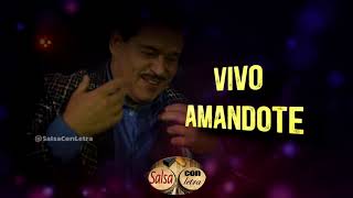 Vivo amandote  Lalo Rodriguezletra Lyric Video Salsa Con Letra HQ [upl. by Malan]