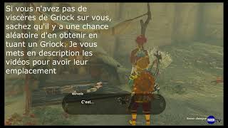 Des viscères de Griock  Zelda Tears of the Kingdom [upl. by Serilda]