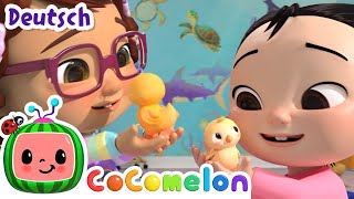 Das Zahlenlied mit Kueken  CoComelon  JJs Animal Time Deutsch  Cartoons und Kinderlieder [upl. by Posner207]